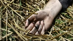 stock-footage-hand-of-a-dead-woman-on-empty-barley-field