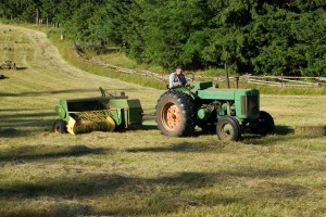 farmer-1