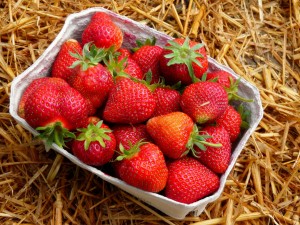 strawberries-874611_1920