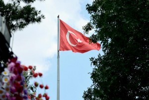 turkey