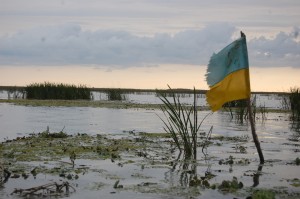 flag-945788_1920